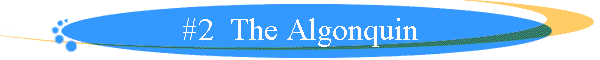 #2  The Algonquin