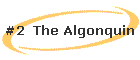 #2  The Algonquin
