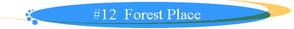 #12  Forest Place